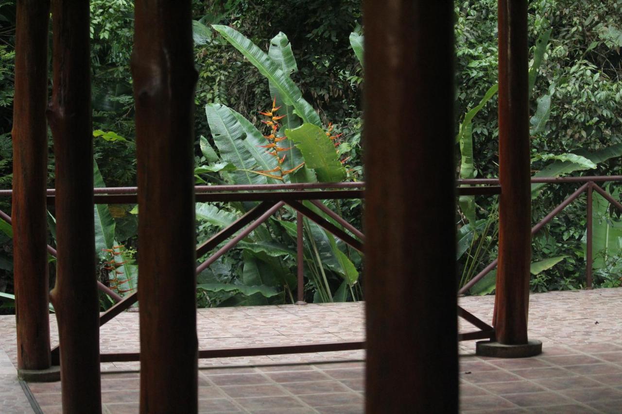 Iguana Libre Hotel Dominical Exterior photo