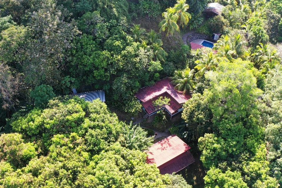 Iguana Libre Hotel Dominical Exterior photo